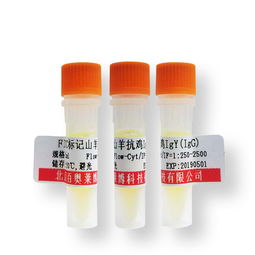 北京芯詣 產(chǎn)品價(jià)格解析與市場(chǎng)定位探析（第5頁）